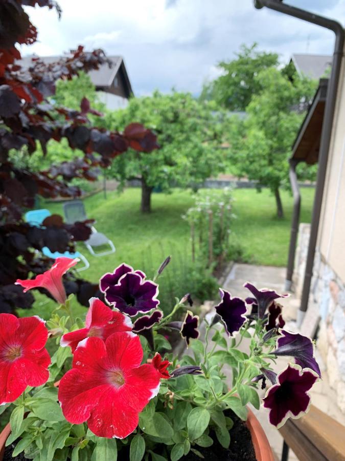House Amalia Villa Bled Buitenkant foto